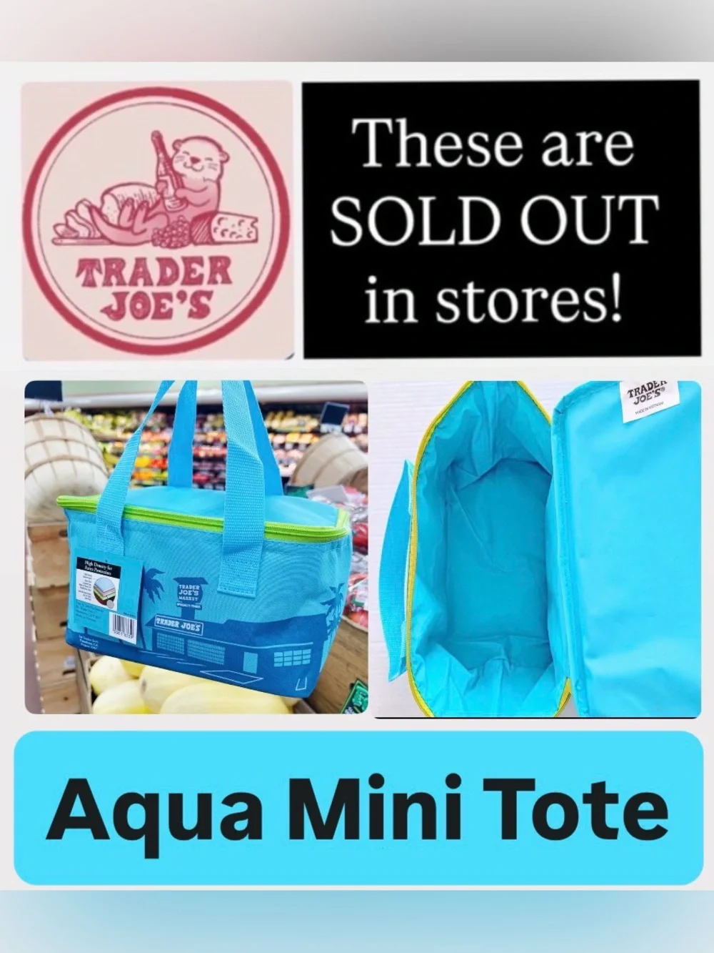 🌺NWT Trader Joe's insulated Aqua Mini Tote - Summer 2025